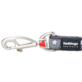 Red Dingo Stars Grey Dog Lead