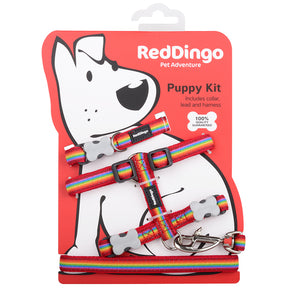 Red Dingo Puppy Kit Rainbow