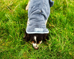 Henry Wag Drying Coat Grey/Blue (5 sizes)