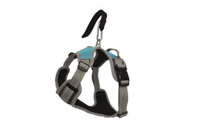 Henry Wag Dog Travel Harness (4 sizes)