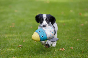 Little Petface Riley Little Rocket Dog Toy