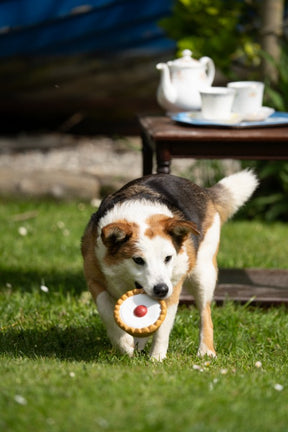 Petface Afternoon Tea Cherry Bakewell Latex Dog Toy