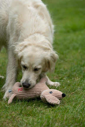 Petface Buddies Dougie Deli Dog Dog Toy