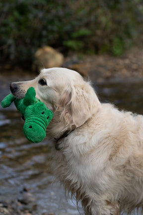 Petface Planet Carlos Crocodile Dog Toy