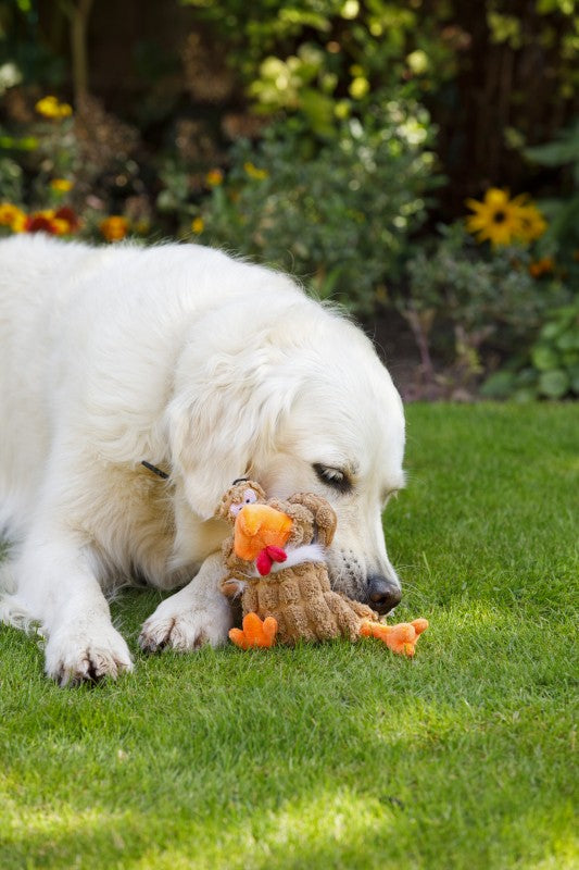 Petface Buddies Chunky Chicken Dog Toy