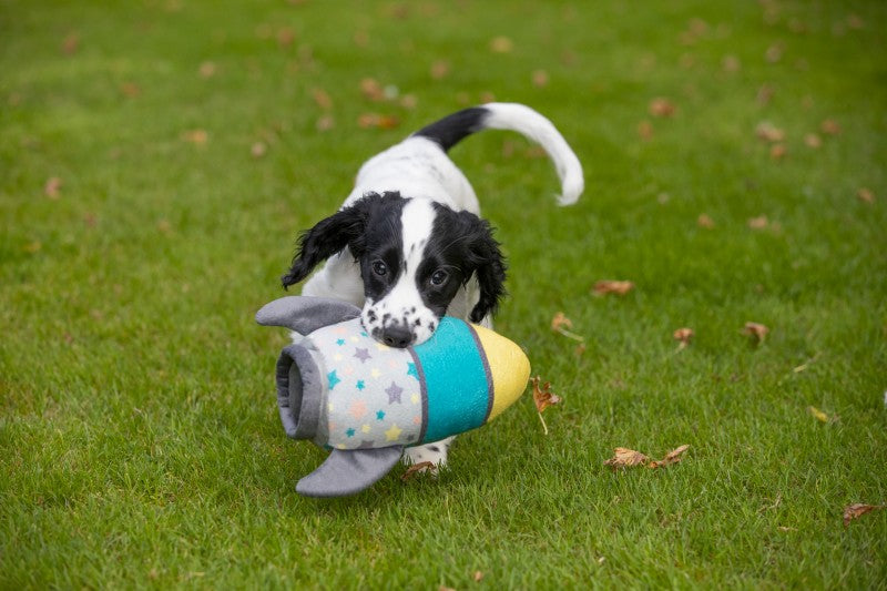 Little Petface Riley Little Rocket Dog Toy