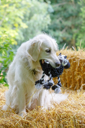 Petface Buddies Noodle Cow Dog Toy