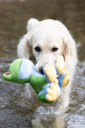 Petface Planet Trev Tree Frog Dog Toy