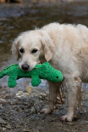 Petface Planet Carlos Crocodile Dog Toy