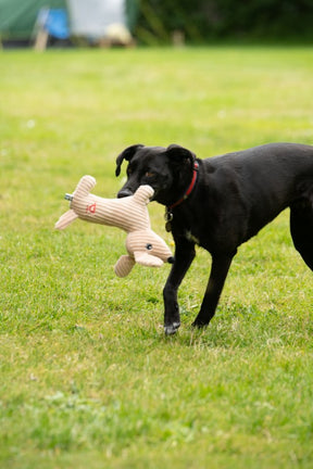 Petface Buddies Dougie Deli Dog Dog Toy