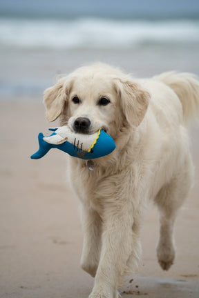 Petface Planet Salina Shark Dog Toy