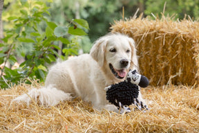 Petface Buddies Noodle Cow Dog Toy