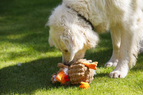 Petface Buddies Chunky Chicken Dog Toy