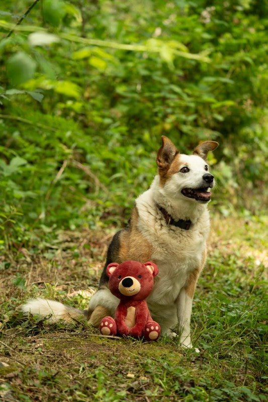 Petface Woodland Toys Bruno Baby Bear Dog Toy