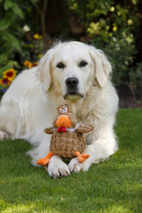 Petface Buddies Chunky Chicken Dog Toy