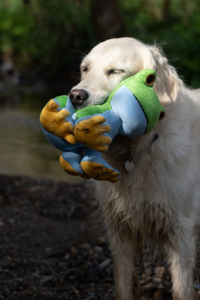 Petface Planet Trev Tree Frog Dog Toy