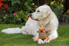 Petface Buddies Chunky Chicken Dog Toy