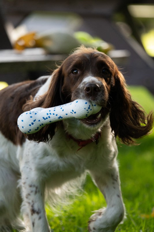 Petface Outdoor Paws Mighty Bone Dog Toy