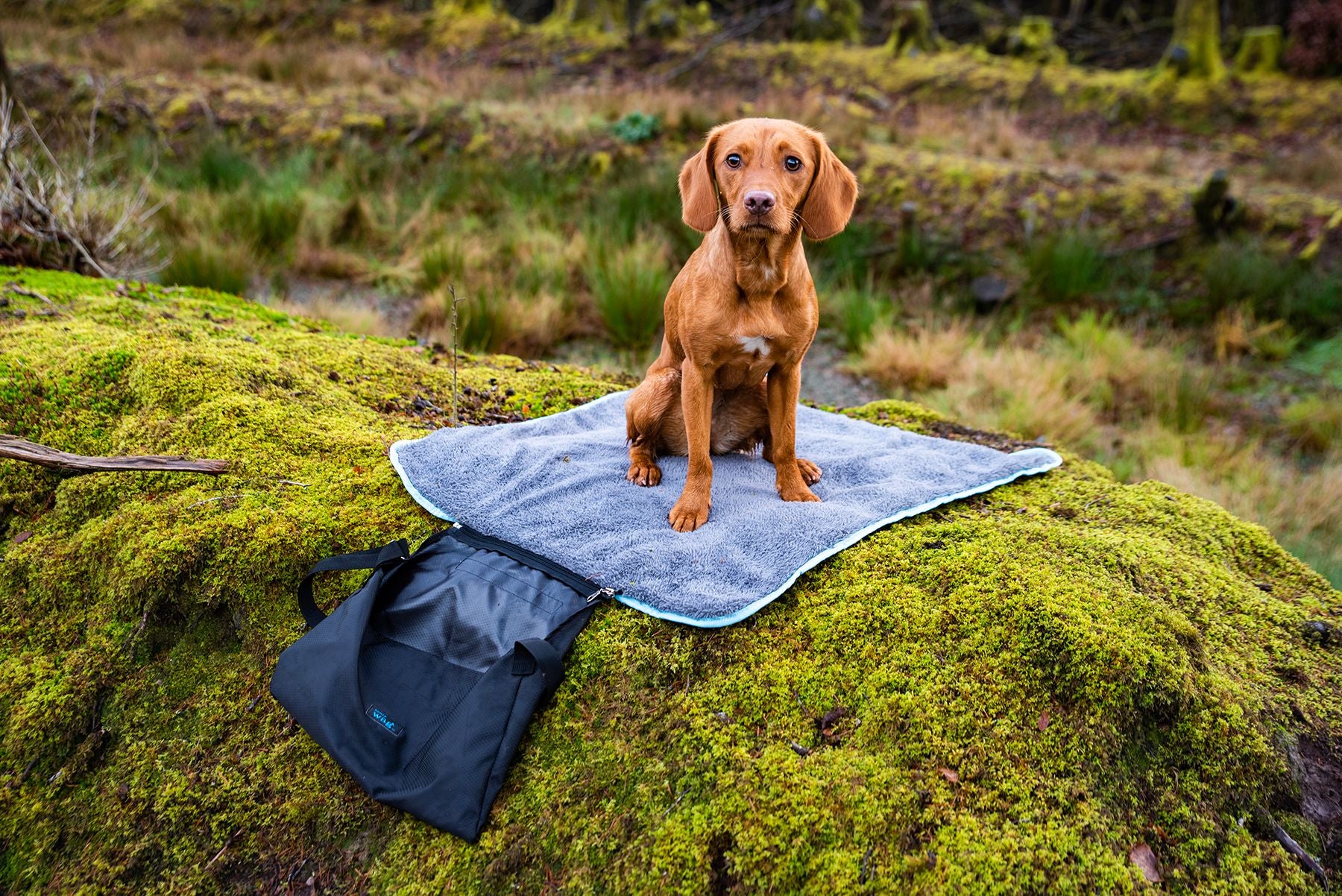 Henry Wag Easy Roll Travel Bed