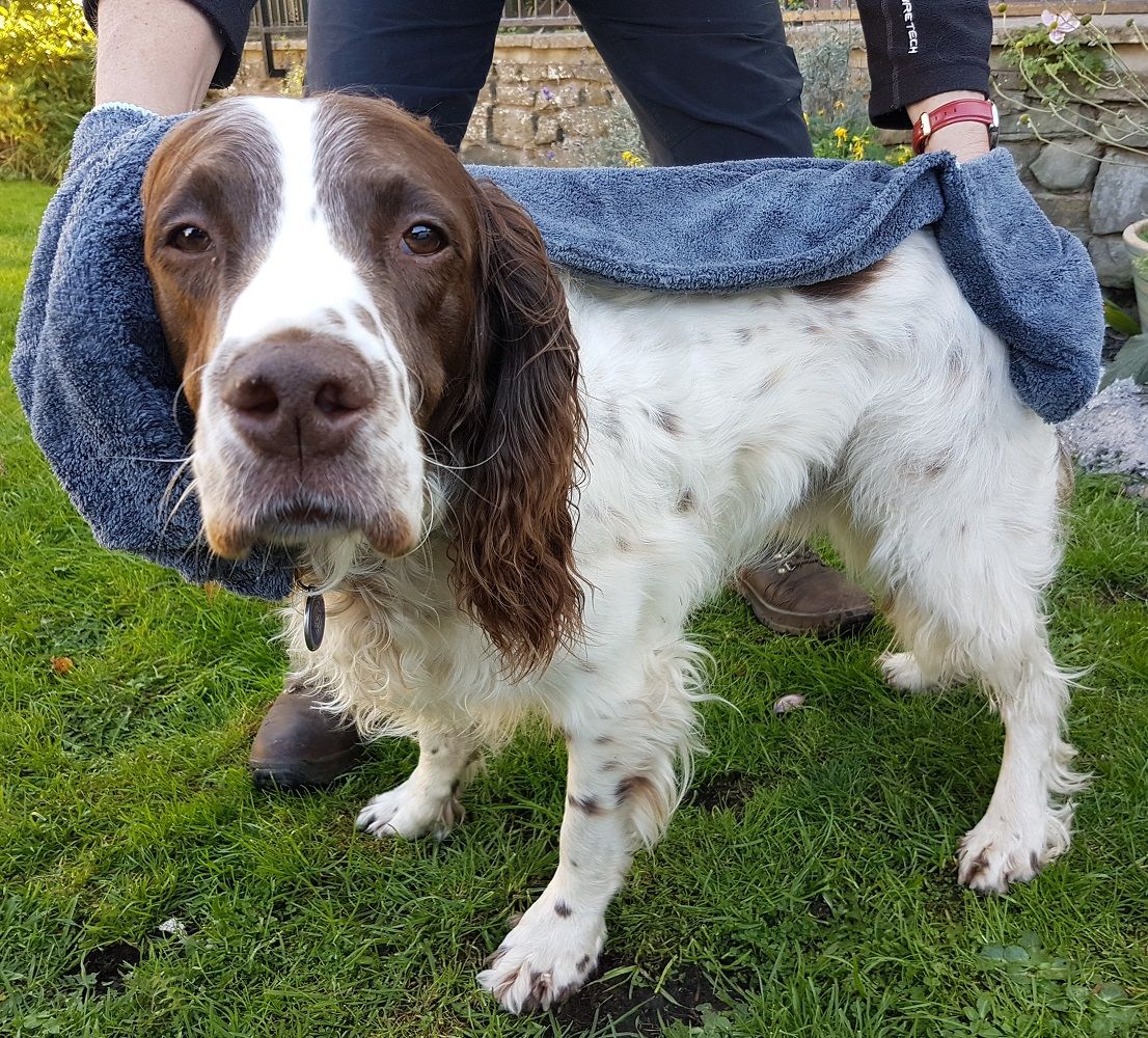 Henry Wag Pet Glove Towel