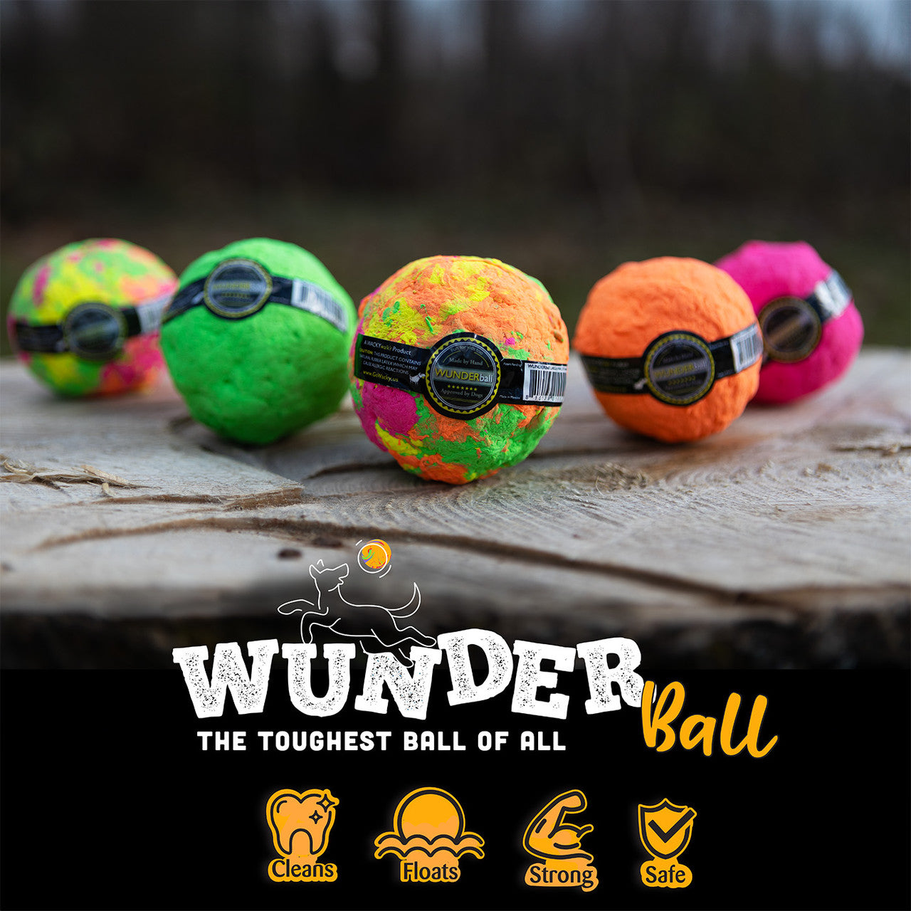 Wunder Ball Dog Toy (3 sizes)