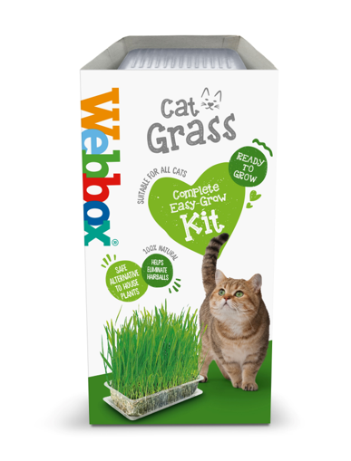 Webbox Cat Grass Kit 6x120g