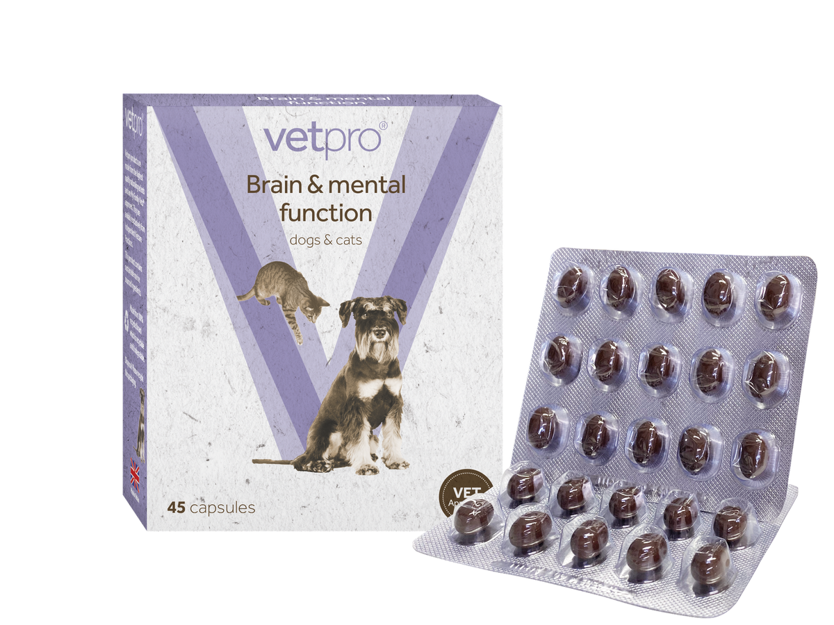 Vetpro - Brain & Mental Function - 45 capsules