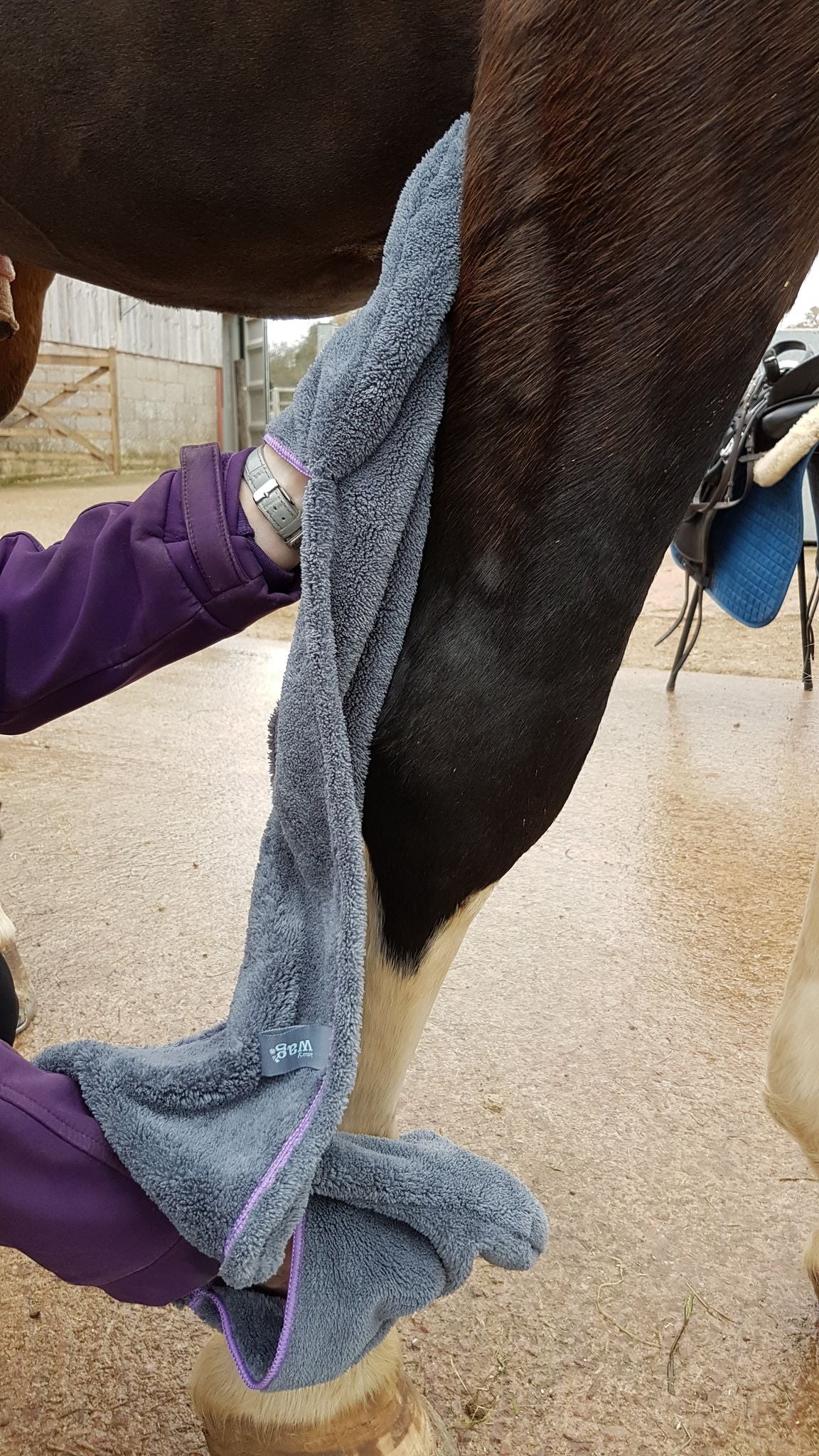 Henry Wag Equine Microfibre Glove Towel