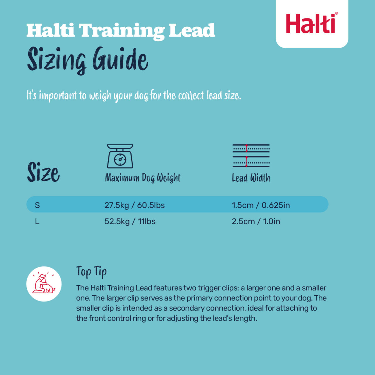 Halti Training Dog Lead (2 sizes/ 2 colours)