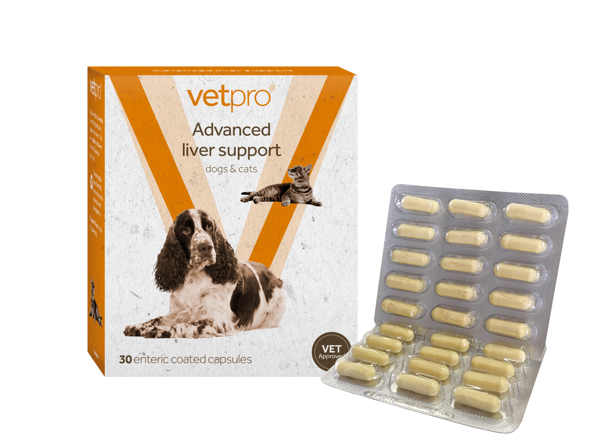 Vetpro - Advanced Liver Support - 30 capsules