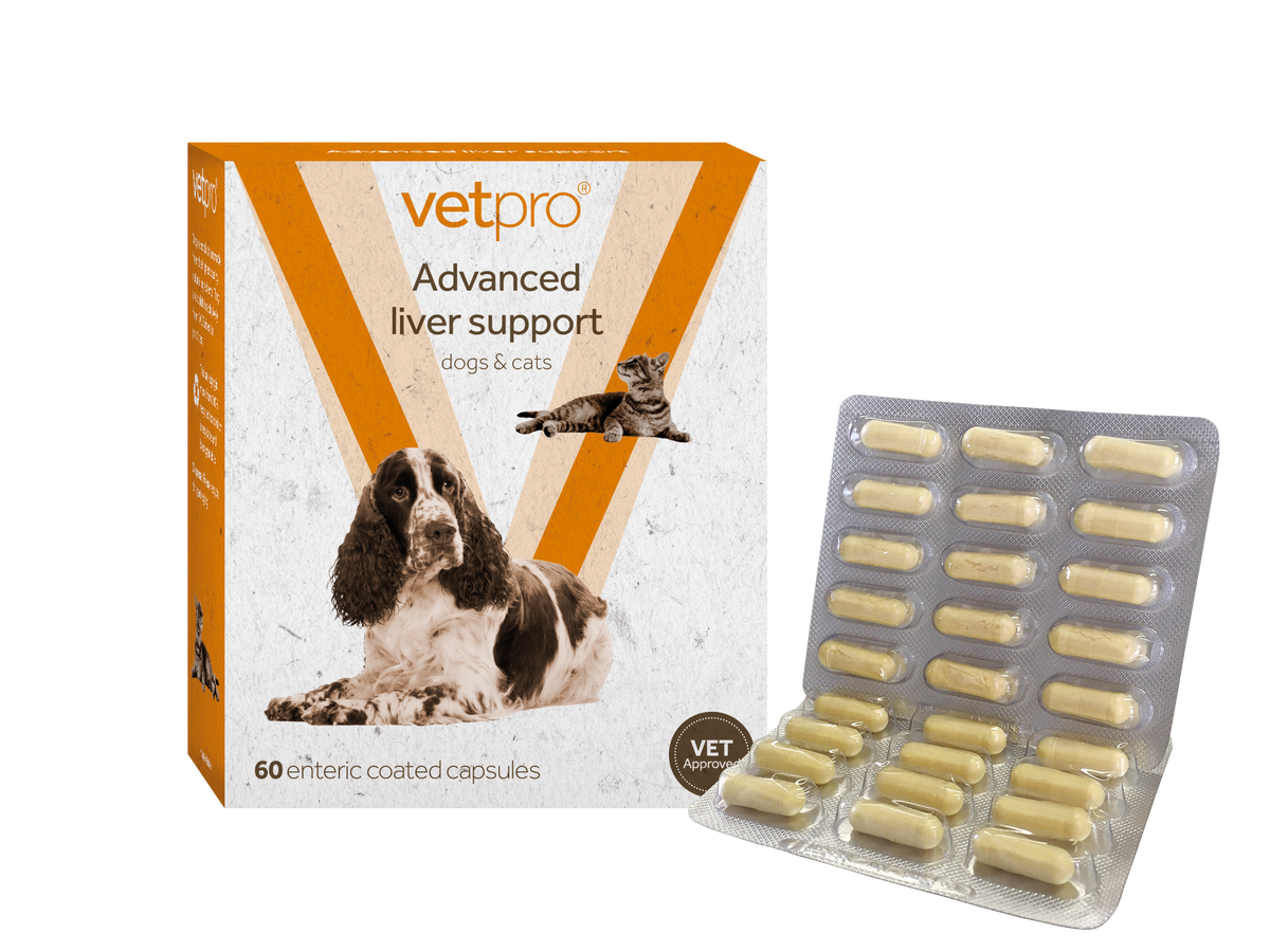 Vetpro - Advanced Liver Support - 60 capsules