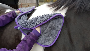 Henry Wag Equine Microfibre Noodle Glove Towel