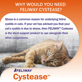 Feliway Cystease