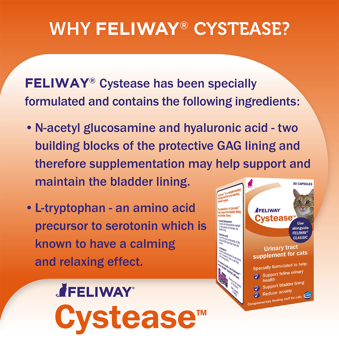 Feliway Cystease