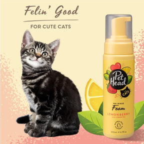 Pet Head Felin' Good Cat Dry Clean Foam