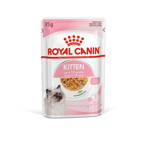 ROYAL CANIN® FELINE HEALTH NUTRITION WET KITTEN Chunks in jelly