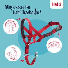 Halti Dog Headcollar Red