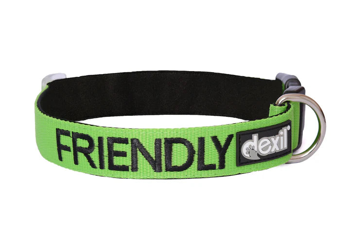 "Friendly" Dog Collar by Friendly Dog Collars