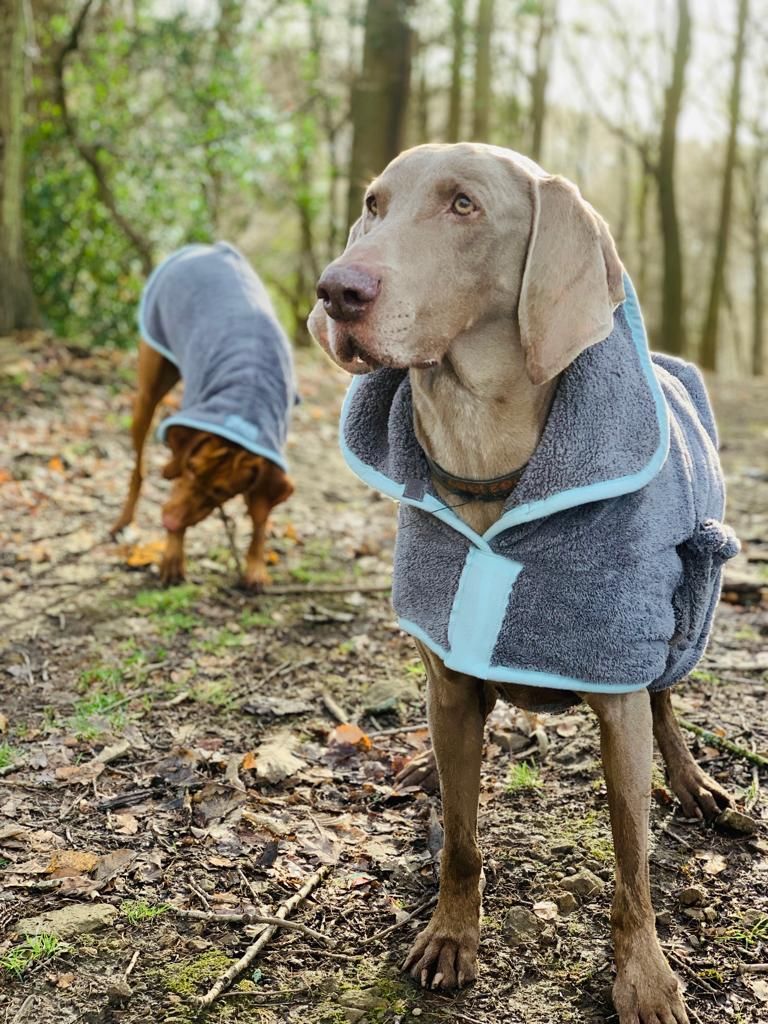 Henry Wag Drying Coat Grey/Blue (5 sizes)