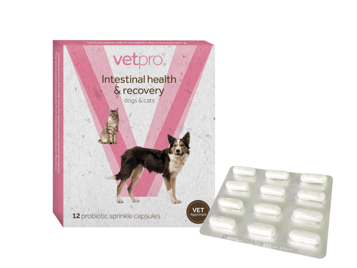 Vetpro - Intestinal Health & Recovery - 12 capsules