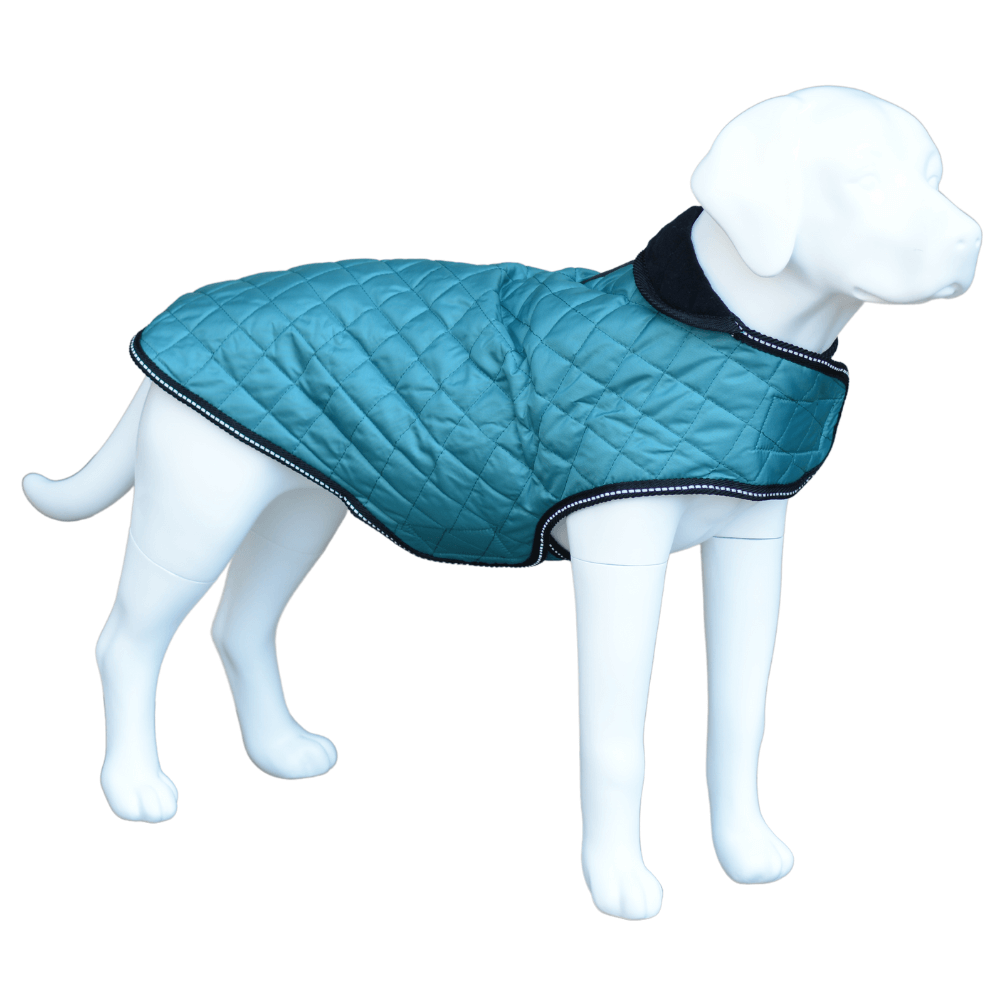 Henry Wag Quilted Dog Jacket Teal (5 sizes)