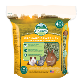 Oxbox Orchard Grass