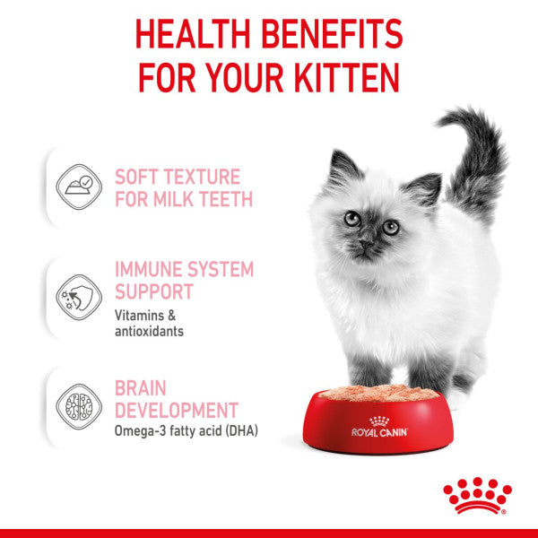 ROYAL CANIN FELINE HEALTH NUTRITION WET KITTEN Loaf in sauce Wet Pet Food