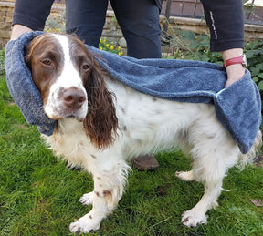 Henry Wag Pet Glove Towel