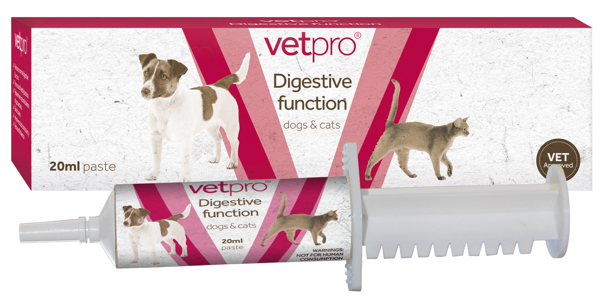 Vetpro - Digestive Function Probiotic Paste - 20ml syringe