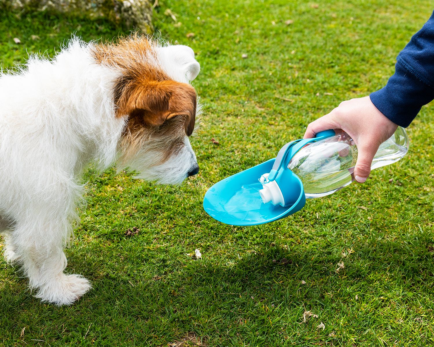 Henry Wag Water Bottle With Leaf Bowl Blue