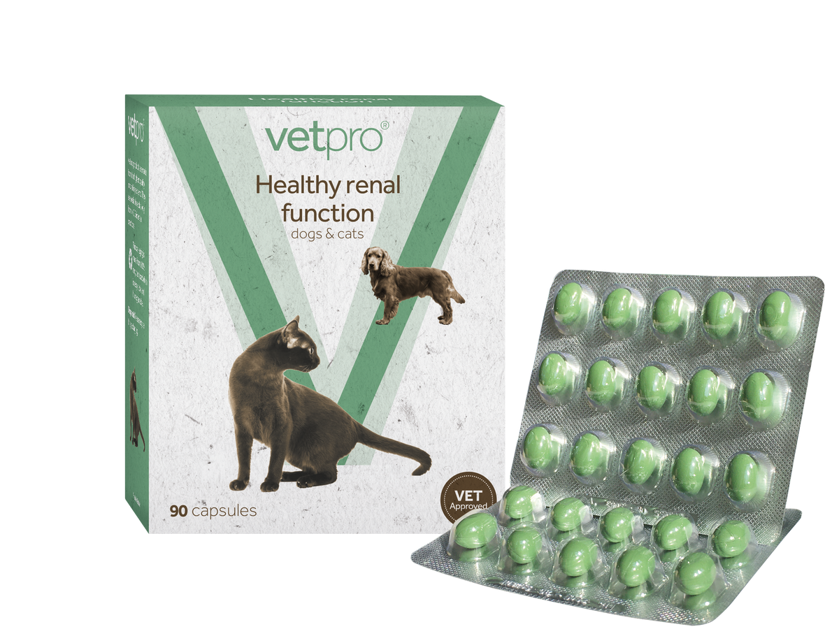 Vetpro - Healthy Renal Function - 90 capsules