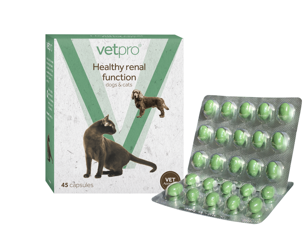 Vetpro - Healthy Renal Function - 45 capsules