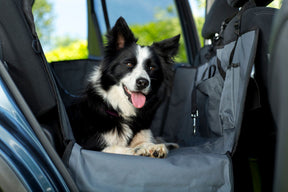 Henry Wag Pet Car Hammock