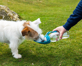 Henry Wag Water Bottle With Leaf Bowl Blue